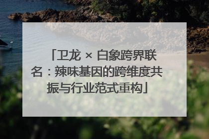 卫龙 × 白象跨界联名：辣味基因的跨维度共振与行业范式重构