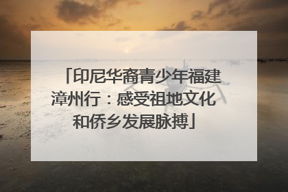 印尼华裔青少年福建漳州行：感受祖地文化和侨乡发展脉搏