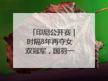 印尼公开赛｜时隔8年再夺女双冠军，国羽一金一银收官