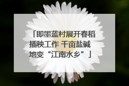 即墨蓝村展开春稻插秧工作 千亩盐碱地变“江南水乡”