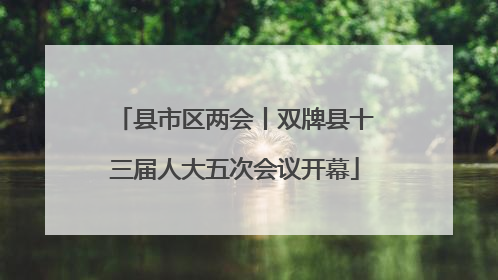 县市区两会丨双牌县十三届人大五次会议开幕