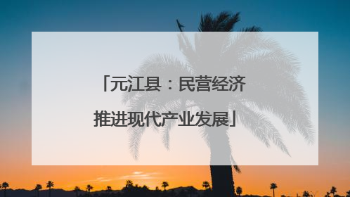 元江县：民营经济推进现代产业发展
