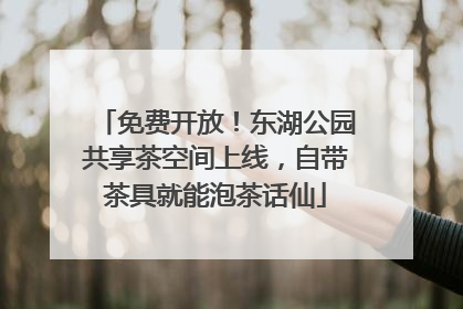免费开放！东湖公园共享茶空间上线，自带茶具就能泡茶话仙