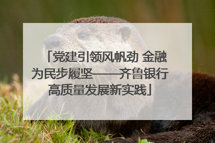 党建引领风帆劲 金融为民步履坚——齐鲁银行高质量发展新实践