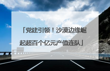党建引领！沙漠边缘崛起超百个亿元产值连队