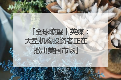 全球瞭望丨英媒：大型机构投资者正在撤出美国市场