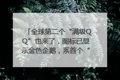 全球第二个“满级QQ”也来了，图标已显示金色企鹅，系首个“满级QQ”的小号