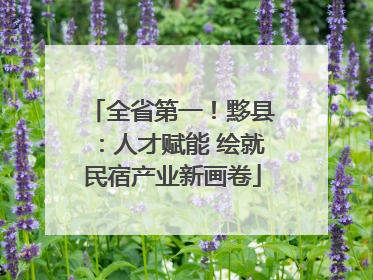 全省第一！黟县：人才赋能 绘就民宿产业新画卷