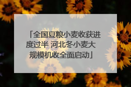 全国夏粮小麦收获进度过半 河北冬小麦大规模机收全面启动