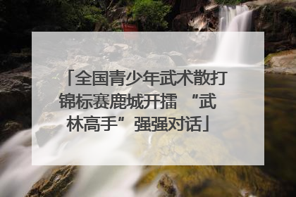 全国青少年武术散打锦标赛鹿城开擂 “武林高手”强强对话