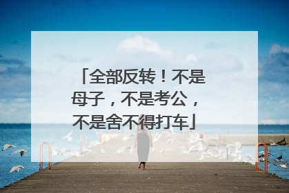 全部反转！不是母子，不是考公，不是舍不得打车