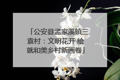 公安县孟家溪镇三袁村：文明花开 绘就和美乡村新画卷