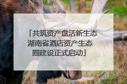 共筑资产盘活新生态 湖南省酒店资产生态圈建设正式启动
