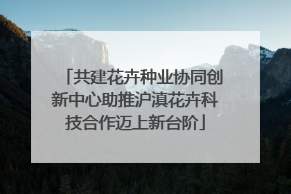共建花卉种业协同创新中心助推沪滇花卉科技合作迈上新台阶