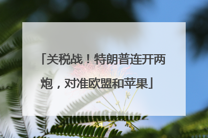 关税战！特朗普连开两炮，对准欧盟和苹果