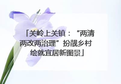 关岭上关镇：“两清两改两治理”扮靓乡村 绘就宜居新图景