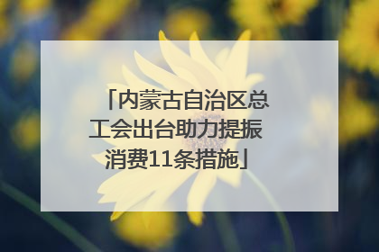内蒙古自治区总工会出台助力提振消费11条措施