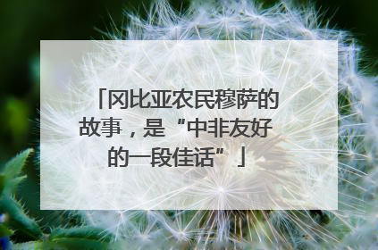 冈比亚农民穆萨的故事，是“中非友好的一段佳话”