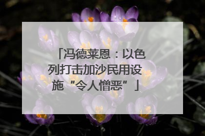 冯德莱恩：以色列打击加沙民用设施“令人憎恶”
