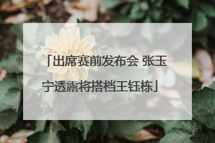 出席赛前发布会 张玉宁透露将搭档王钰栋