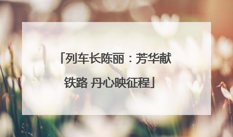 列车长陈丽：芳华献铁路 丹心映征程