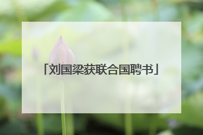 刘国梁获联合国聘书