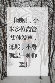 刚刚，小米多位高管集体发声：诋毁，本身就是一种仰望