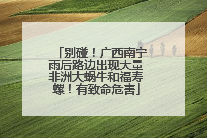 别碰！广西南宁雨后路边出现大量非洲大蜗牛和福寿螺！有致命危害