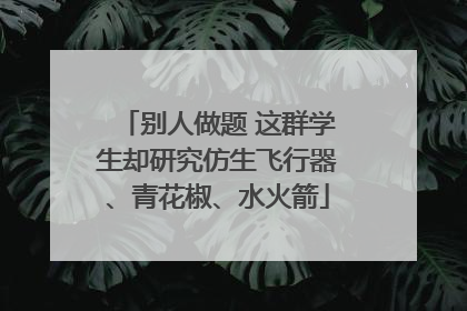 别人做题 这群学生却研究仿生飞行器、青花椒、水火箭