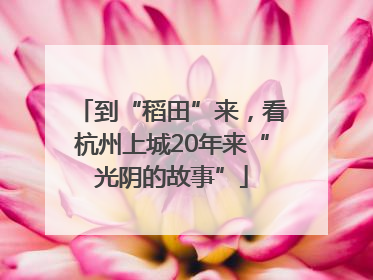 到“稻田”来，看杭州上城20年来“光阴的故事”