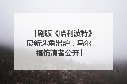 剧版《哈利波特》最新选角出炉，马尔福饰演者公开