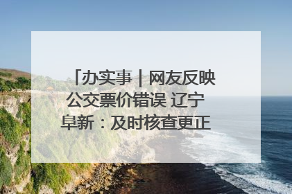 办实事｜网友反映公交票价错误 辽宁阜新：及时核查更正 加强实时巡检
