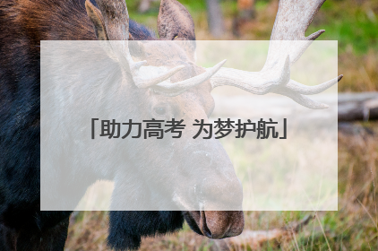 助力高考 为梦护航