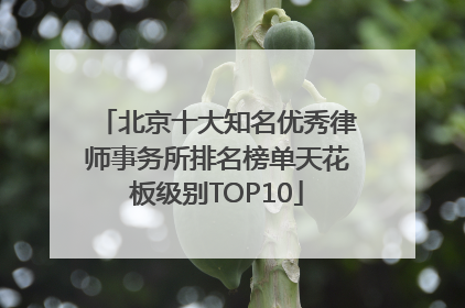 北京十大知名优秀律师事务所排名榜单天花板级别TOP10