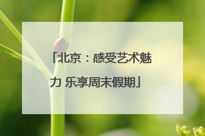 北京：感受艺术魅力 乐享周末假期