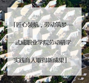 匠心领航，劳动筑梦——武威职业学院劳动研学实践育人取得新成果