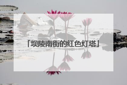 坝陵南街的红色灯塔