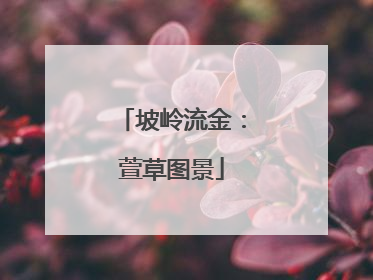 坡岭流金：萱草图景