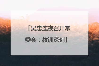 吴忠连夜召开常委会：教训深刻