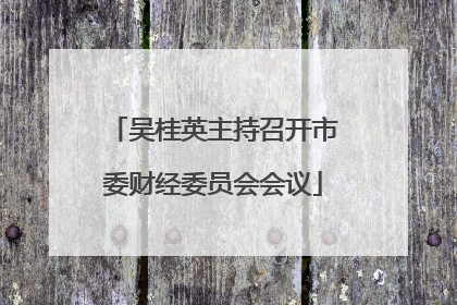 吴桂英主持召开市委财经委员会会议