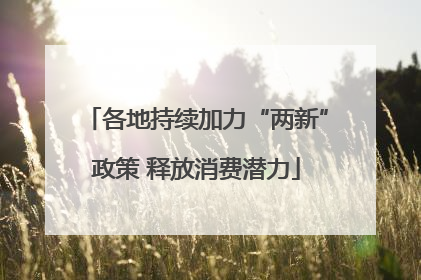 各地持续加力“两新”政策 释放消费潜力
