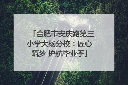 合肥市安庆路第三小学大杨分校：匠心筑梦 护航毕业季
