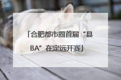 合肥都市圈首届“县BA”在定远开赛