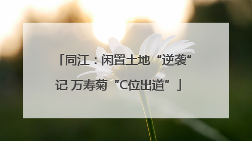 同江：闲置土地“逆袭”记 万寿菊“C位出道”
