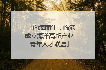 向海而生，临港成立海洋高新产业青年人才联盟