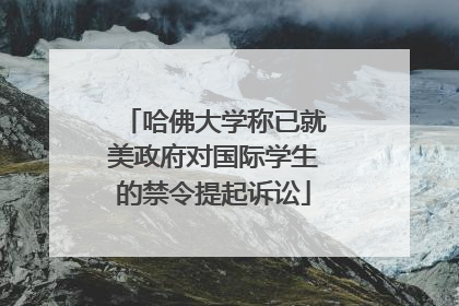 哈佛大学称已就美政府对国际学生的禁令提起诉讼