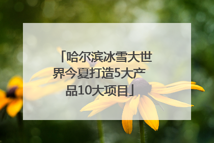 哈尔滨冰雪大世界今夏打造5大产品10大项目