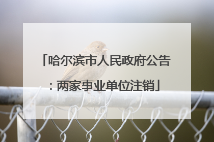 哈尔滨市人民政府公告：两家事业单位注销