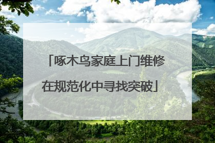 啄木鸟家庭上门维修在规范化中寻找突破