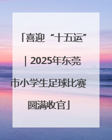 喜迎“十五运”｜2025年东莞市小学生足球比赛圆满收官